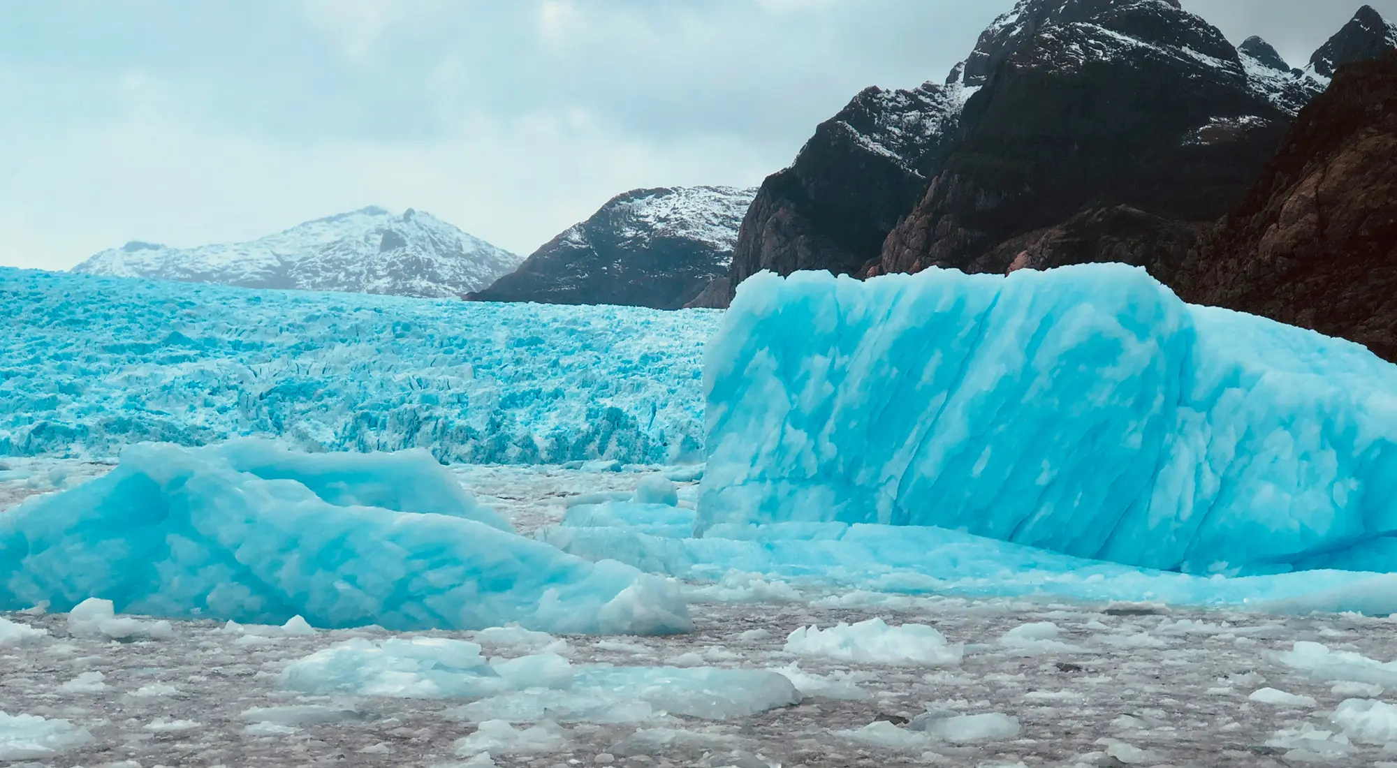 ニッポン・プロダクション・チリの映像コーディネート会社