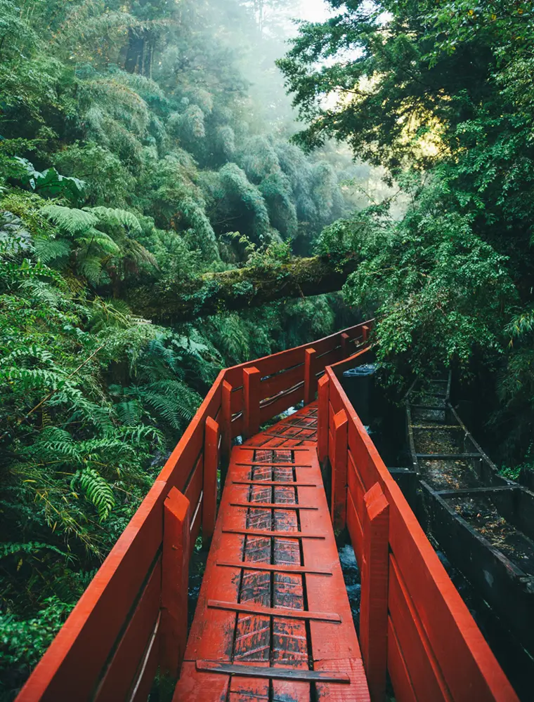 チリを熟知した優秀なコーディネーター